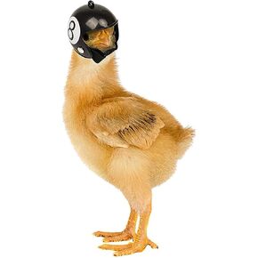 Black Funny Pet Helmet Chicken Bird Head Protection Helmet Hat Clothing Accessories Hats