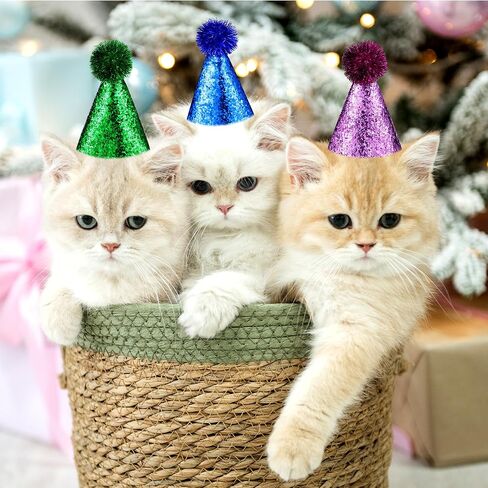 10PCs Dog Birthday Hat for Pets Multicolor Cat Birthday Hat Adjustable Headbands Cute Dog Party Hat with Pompoms Mini Pet Party Hat Accessories for Pets Kittens Dogs Party Decorations Costume in Saudi Arabia