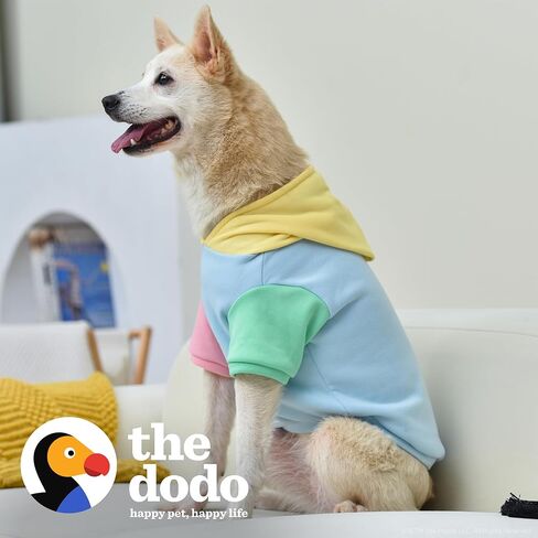 The Dodo Pastel Colorblock Hoodie for Dogs, Size Medium; Everyday Apparel for Dogs, Cute Dog Sweatshirt, Cute Clothes for Dogs, The Dodo for Dogs Collection in Saudi Arabia