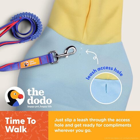 The Dodo Pastel Colorblock Hoodie for Dogs, Size Medium; Everyday Apparel for Dogs, Cute Dog Sweatshirt, Cute Clothes for Dogs, The Dodo for Dogs Collection in Saudi Arabia