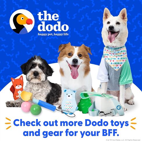 The Dodo Pastel Colorblock Hoodie for Dogs, Size Medium; Everyday Apparel for Dogs, Cute Dog Sweatshirt, Cute Clothes for Dogs, The Dodo for Dogs Collection in Saudi Arabia