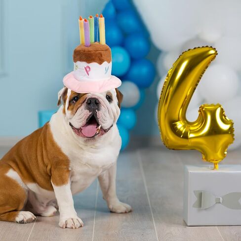 YOUEON 2 Pack Cute Dog Birthday Hats, Pink Candle Cake & Green Fruit Cake, Cat Birthday Hat, Plush Pet Birthday Cake Hat for Cats, Small & Medium Dogs Birthday Party (Large) in Saudi Arabia