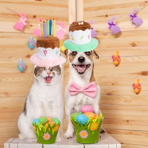 YOUEON 2 Pack Cute Dog Birthday Hats, Pink Candle Cake & Green Fruit Cake, Cat Birthday Hat, Plush Pet Birthday Cake Hat for Cats, Small & Medium Dogs Birthday Party (Large) in Saudi Arabia