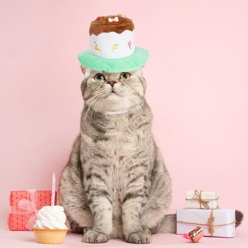 YOUEON 2 Pack Cute Dog Birthday Hats, Pink Candle Cake & Green Fruit Cake, Cat Birthday Hat, Plush Pet Birthday Cake Hat for Cats, Small & Medium Dogs Birthday Party (Large) in Saudi Arabia