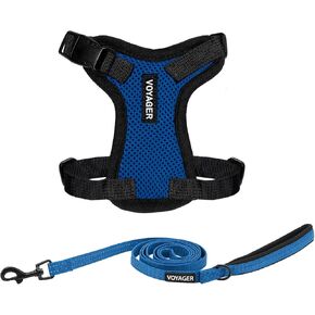 Voyager Step-in Lock Adjustable Cat Harness w. Cat Leash Combo Set with Neoprene Handle 5ft - Supports Small, Medium and Large Breed Cats by Best Pet Supplies - Royal Blue/Black Trim, XXXS