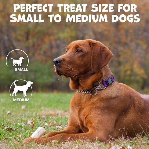 Whole Deer Antler for Dogs - Long Lasting Dog Chews for Aggressive Chewers - Single Ingredient Dog Treat & Odorless Deer Antlers for Small Dogs & Medium Dogs - 4-5" (3ct) in Kuwait
