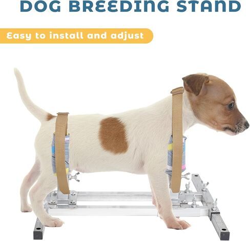 Dog Breeding Stand（Multi-Specification）Stainless Steel Dog Breeding Stand，Shoulder height 5.9in-13.8in，Dog Breeding Stand for Miniature Dog，Breeding Stand for Miniature Dog Breeding Stand in Kuwait