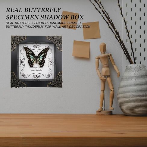 Butterfly Framed Decoration - Handmade Wood Shadow Box Insect Frame for Butterfly Collectors - Tabletop, Wall Art,Live Room,Home Decor (Delias Belladonna) in Saudi Arabia