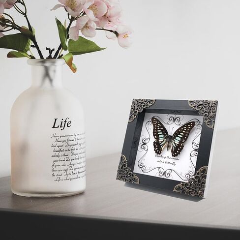 Butterfly Framed Decoration - Handmade Wood Shadow Box Insect Frame for Butterfly Collectors - Tabletop, Wall Art,Live Room,Home Decor (Delias Belladonna) in Saudi Arabia