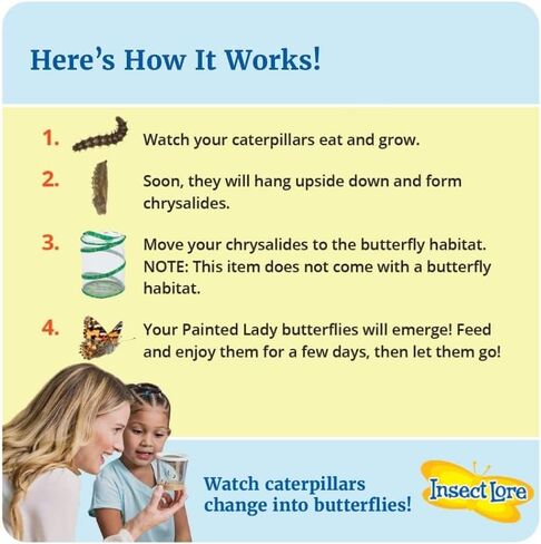 Insect Lore Cup of Live Baby Caterpillars with Figurines | Butterfly Kit Refill - Plus Butterfly Life Cycle Stages Toy Figurines | 5 Painted Lady Caterpillars Shipped Now in Kuwait