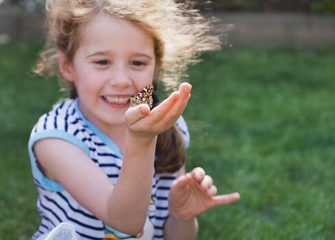 Insect Lore Cup of Live Baby Caterpillars with Figurines | Butterfly Kit Refill - Plus Butterfly Life Cycle Stages Toy Figurines | 5 Painted Lady Caterpillars Shipped Now in Kuwait