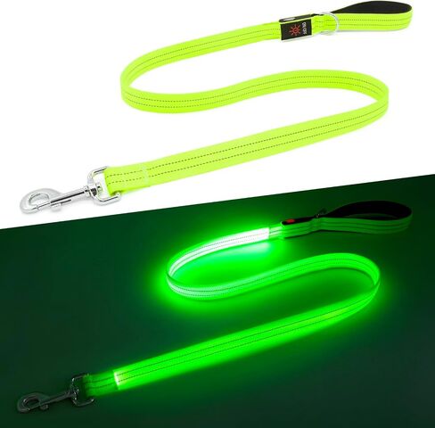 LED Dog Leash, 4 Ft Light Up Dog Leash USB Rechargeable Waterproof, Nylon Reflective Leashes with Padded Handle, Safety Glow in The Dark Dog Leash for Large Medium Small Pet(Green) in Saudi Arabia