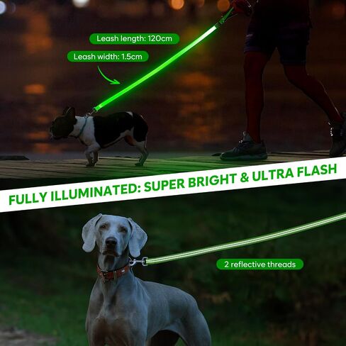 LED Dog Leash, 4 Ft Light Up Dog Leash USB Rechargeable Waterproof, Nylon Reflective Leashes with Padded Handle, Safety Glow in The Dark Dog Leash for Large Medium Small Pet(Green) in Saudi Arabia
