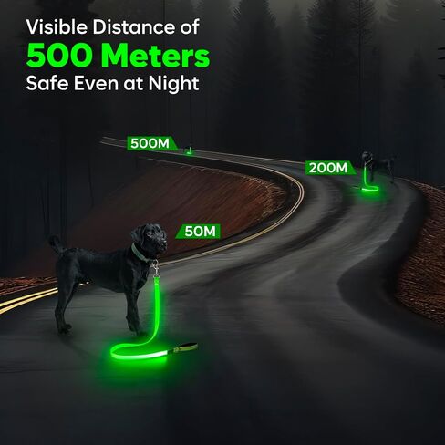LED Dog Leash, 4 Ft Light Up Dog Leash USB Rechargeable Waterproof, Nylon Reflective Leashes with Padded Handle, Safety Glow in The Dark Dog Leash for Large Medium Small Pet(Green) in Saudi Arabia
