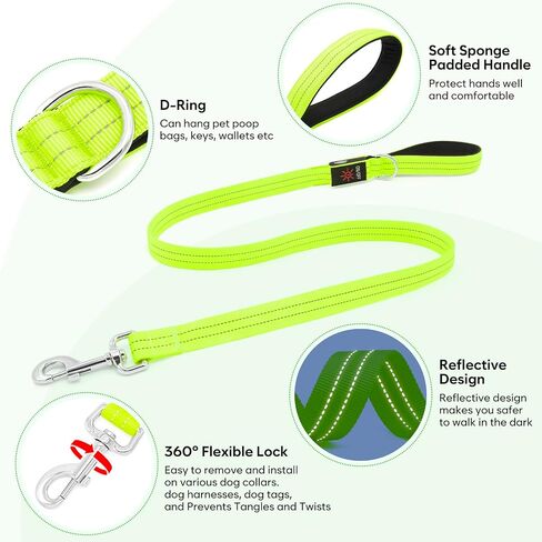 LED Dog Leash, 4 Ft Light Up Dog Leash USB Rechargeable Waterproof, Nylon Reflective Leashes with Padded Handle, Safety Glow in The Dark Dog Leash for Large Medium Small Pet(Green) in Saudi Arabia