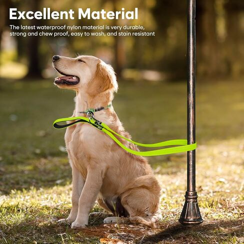 LED Dog Leash, 4 Ft Light Up Dog Leash USB Rechargeable Waterproof, Nylon Reflective Leashes with Padded Handle, Safety Glow in The Dark Dog Leash for Large Medium Small Pet(Green) in Saudi Arabia