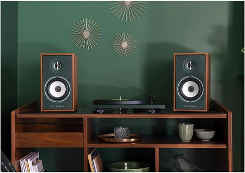 triangle - BOREA BR02 Connect Active Speakers - Bluetooth Bookshelf Speakers with 2X 50W Amplifier - HD Audio - Phono/Turntable TV & USB inputs - 176 x 310 x 274 mm - Black (Pair) in Saudi Arabia