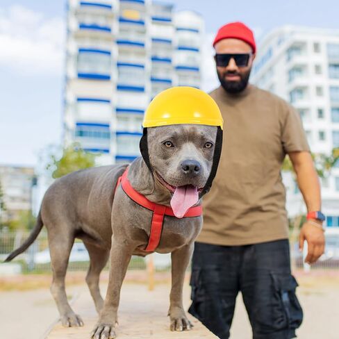 LIOOBO Pet Funny Hat Small Dog Pet Bike Hat Sunproof Rainproof Hardhat for Small Medium Large Dog Plastic Gears Doggie Cap Dogs Accessories Cat De Dog Cap Abs Medium Dog Motorcycle in Kuwait