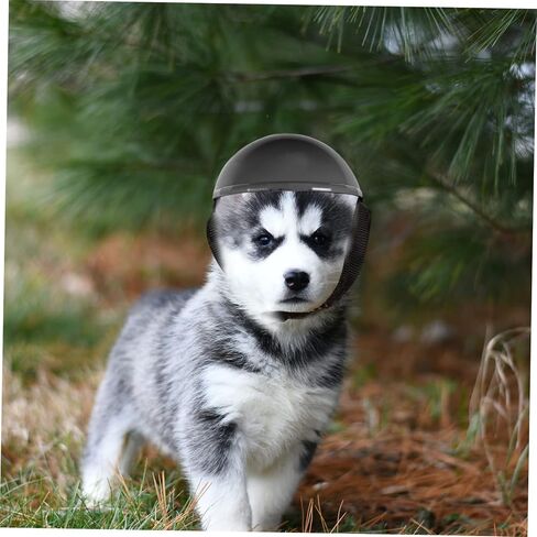 LIOOBO Pet Funny Hat Small Dog Pet Bike Hat Sunproof Rainproof Hardhat for Small Medium Large Dog Plastic Gears Doggie Cap Dogs Accessories Cat De Dog Cap Abs Medium Dog Motorcycle in Kuwait