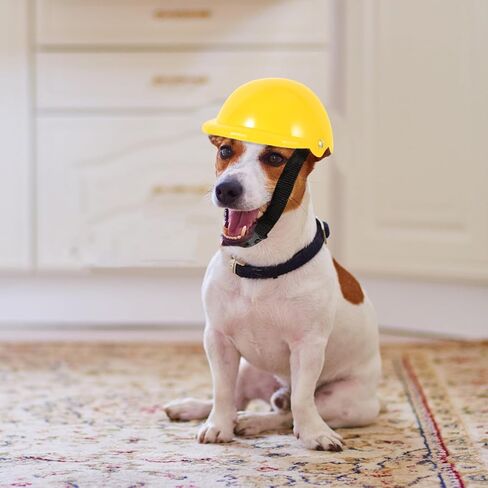 LIOOBO Pet Funny Hat Small Dog Pet Bike Hat Sunproof Rainproof Hardhat for Small Medium Large Dog Plastic Gears Doggie Cap Dogs Accessories Cat De Dog Cap Abs Medium Dog Motorcycle in Kuwait
