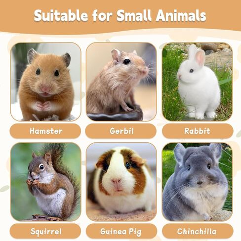 Hamiledyi 24 PCS Chinchilla Chew Toys Lava Blocks Hamster Chew Toys for Teeth Grinding Square Stone Mineral Calcium Stone for Bunny Rabbit Hamster Chinchillas Squirrel and Other Small Animals in Saudi Arabia