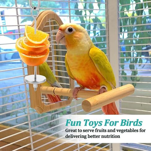 3 Pcs Bird Food Holder Bird Feeder Toy Stainless Steel Small Animal Fruit Vegetable Stick Skewer Foraging Hanging Food Feeding Treating Tool for Parrots Cockatoo Cockatiel Cage in Saudi Arabia
