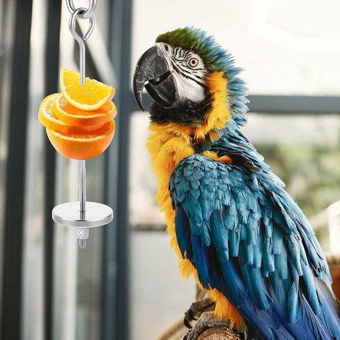 3 Pcs Bird Food Holder Bird Feeder Toy Stainless Steel Small Animal Fruit Vegetable Stick Skewer Foraging Hanging Food Feeding Treating Tool for Parrots Cockatoo Cockatiel Cage in Saudi Arabia