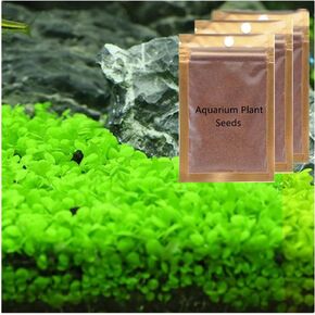 3 Pack Aquarium Plant Small Leaf Plant not Artificial Plastic Plants for Fish Tank Aquarium Decorations
