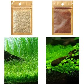 2 Pack Aquarium Plant S.e.e.d Set, not Artificial plasticl Plant. Real Grass Tank Decor Replacement for Resin or Plastic Grass