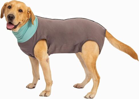 Dog Surgery Recovery Suit, Onesies for Dogs After Surgery, Dog Spay Recovery Suit Female, Breathable Neutering Recovery Suit for Male Dogs, Puppy Onesies Dog Surgical Suit (Darkgrey,S) in Saudi Arabia