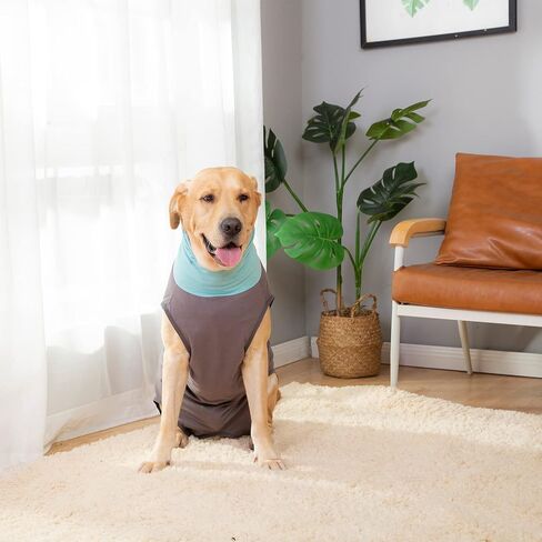 Dog Surgery Recovery Suit, Onesies for Dogs After Surgery, Dog Spay Recovery Suit Female, Breathable Neutering Recovery Suit for Male Dogs, Puppy Onesies Dog Surgical Suit (Darkgrey,S) in Saudi Arabia