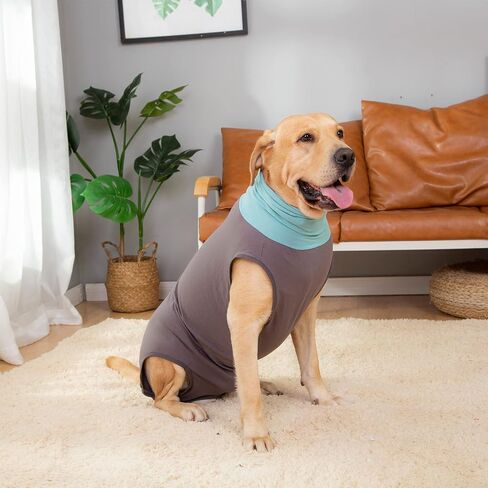 Dog Surgery Recovery Suit, Onesies for Dogs After Surgery, Dog Spay Recovery Suit Female, Breathable Neutering Recovery Suit for Male Dogs, Puppy Onesies Dog Surgical Suit (Darkgrey,S) in Saudi Arabia
