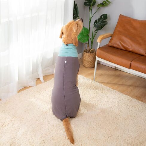 Dog Surgery Recovery Suit, Onesies for Dogs After Surgery, Dog Spay Recovery Suit Female, Breathable Neutering Recovery Suit for Male Dogs, Puppy Onesies Dog Surgical Suit (Darkgrey,S) in Saudi Arabia
