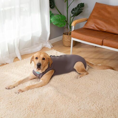 Dog Surgery Recovery Suit, Onesies for Dogs After Surgery, Dog Spay Recovery Suit Female, Breathable Neutering Recovery Suit for Male Dogs, Puppy Onesies Dog Surgical Suit (Darkgrey,S) in Saudi Arabia