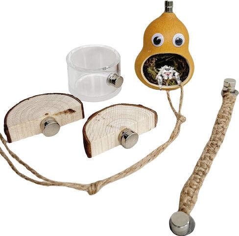 5pcs Jumping Spider Hide, Handmade Spider Enclosure Accessories，Shelter Made of Natural Materials，Magnetic Hidden Jumping Spider Habitat, Jumping Spider Enclosure in Saudi Arabia