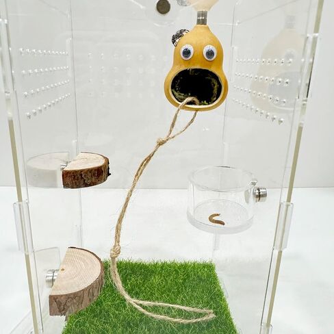 5pcs Jumping Spider Hide, Handmade Spider Enclosure Accessories，Shelter Made of Natural Materials，Magnetic Hidden Jumping Spider Habitat, Jumping Spider Enclosure in Saudi Arabia