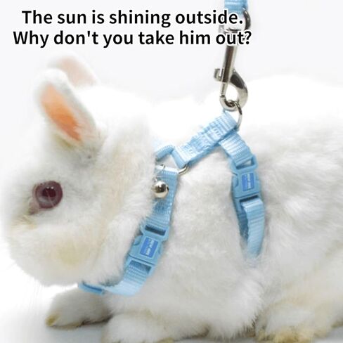 Rabbit Bunny Harness with Leash Adjustable Soft Nylon Harness Rabbit Vest Harness Lead Leash Pink Blue Lead Leash All Season for Small Animals (Pink,S) in Saudi Arabia