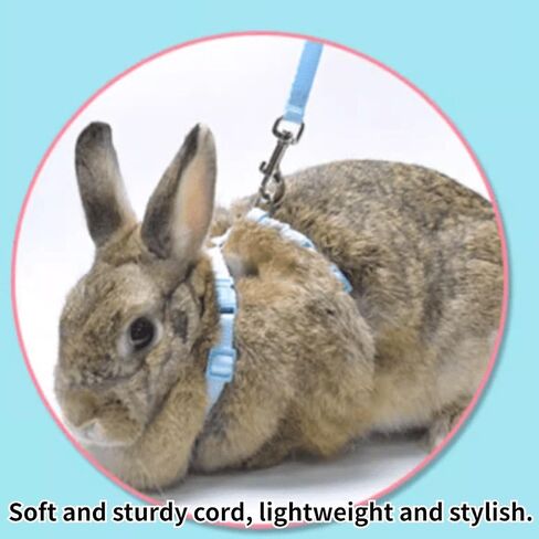 Rabbit Bunny Harness with Leash Adjustable Soft Nylon Harness Rabbit Vest Harness Lead Leash Pink Blue Lead Leash All Season for Small Animals (Pink,S) in Saudi Arabia