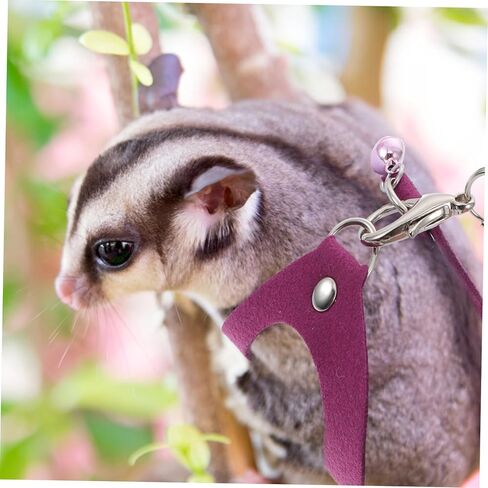1Set Sugar Glider Traction Rope Leash for Small Pets Outdoor Use Pulling Rope for Sugar Gliders Ferrets and Other Tiny Animals Pet Supply in Kuwait
