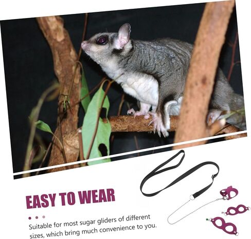 1Set Sugar Glider Traction Rope Leash for Small Pets Outdoor Use Pulling Rope for Sugar Gliders Ferrets and Other Tiny Animals Pet Supply in Kuwait