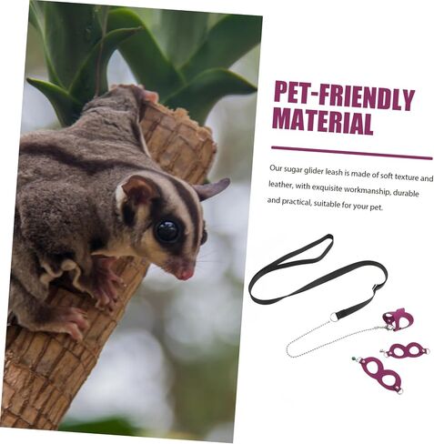 1Set Sugar Glider Traction Rope Leash for Small Pets Outdoor Use Pulling Rope for Sugar Gliders Ferrets and Other Tiny Animals Pet Supply in Kuwait