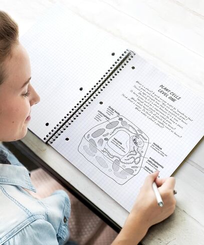 Dunwell Graph Paper Notebook 8.5 x 11 (Black) Plastic Cover, 100 Sheets (200 Pages), 4x4 Squares, 1 Subject Graph Paper Spiral Notebook, 1/4" Grid, Pocket Divider, Easy Tear-Off, 3-Hole Punched in Saudi Arabia