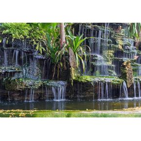 Garden Waterfall Aquarium Background Tropical Plants Rocks Terrarium Background Green Leaves with Moss Aquarium Backdrop Reptile Habitat Background Fish Tank Decor Vinyl 24x12in