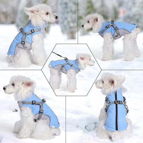 Gyuzh معطف الكلب مع تسخير سترة الكلب الشتاء للماء معاطف الكلاب الكلب تسخير معطف الطقس البارد معطف الشتاء الكلب مع تسخير بنيت في للكلاب الصغيرة والمتوسطة والكبيرة in Kuwait
