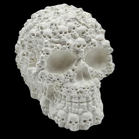 ARAGOCRETE Skull for Under Water Corals OR Aquarium Decoration Great Halloween Decoration AS Well (X-Large 3" in Catacombs) in Saudi Arabia