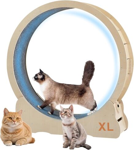 Cat Exercise Wheel for Indoor Cats Treadmill, Cat Running Wheel with Carpeted Runway, 43.3 inch Cats Fitness Weight Loss Device Suitable for Most Cats.(XL) in Saudi Arabia