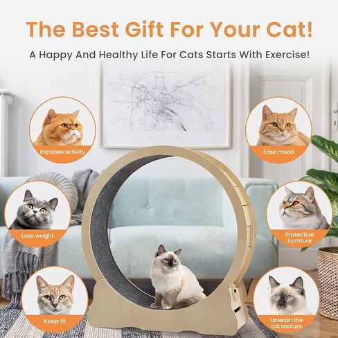 Cat Exercise Wheel for Indoor Cats Treadmill, Cat Running Wheel with Carpeted Runway, 43.3 inch Cats Fitness Weight Loss Device Suitable for Most Cats.(XL) in Saudi Arabia