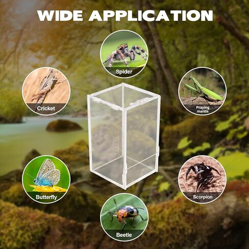 Jumping Spider Enclosure, Acrylic Reptile Terrarium Enclosure Micro Habitat Tank Breeding Box for Tarantula Insect Small Reptiles (7.9" x 4.7" x 4.7") in Saudi Arabia