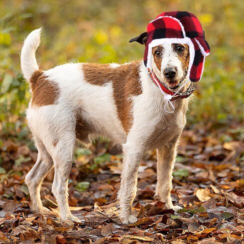 قبعة عيد الميلاد للكلاب مع غطاء للأذنين، قبعة كلب شتوية دافئة مع شريط مطاطي قابل للتعديل، قبعة حمراء منقوشة للحيوانات الأليفة، آذان الحيوانات الأليفة دافئة، لف رأس سنود، أغطية رأس للكلاب في عيد الميلاد، قبعة زي لعيد الميلاد للكلاب المتوسطة الصغيرة in Kuwait