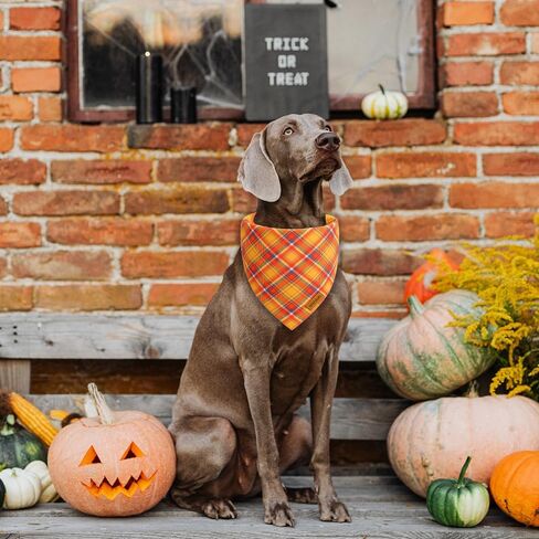 Christmas Dog Bandanas - 2 Pack Plaid Dog Bandana | Reversible Green and Red Pet Scarf for Boy & Girl | Premium Durable Fabric | Holiday Bandana for Medium and Large Dogs (Large) in Kuwait